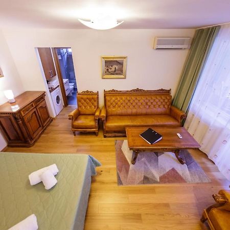 Apartament Family Rivulus 8 Baia Mare Exterior photo