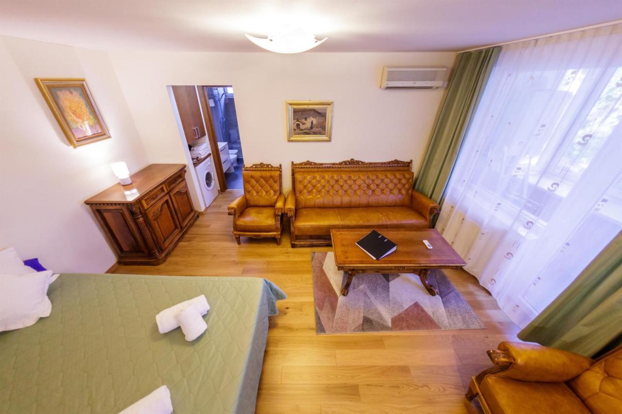 Apartament Family Rivulus 8 Baia Mare Exterior photo