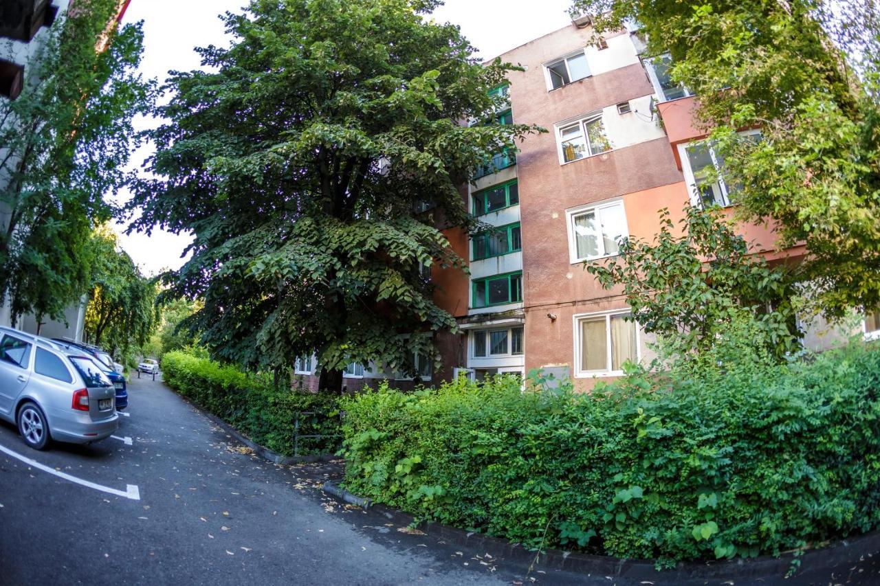 Apartament Family Rivulus 8 Baia Mare Exterior photo