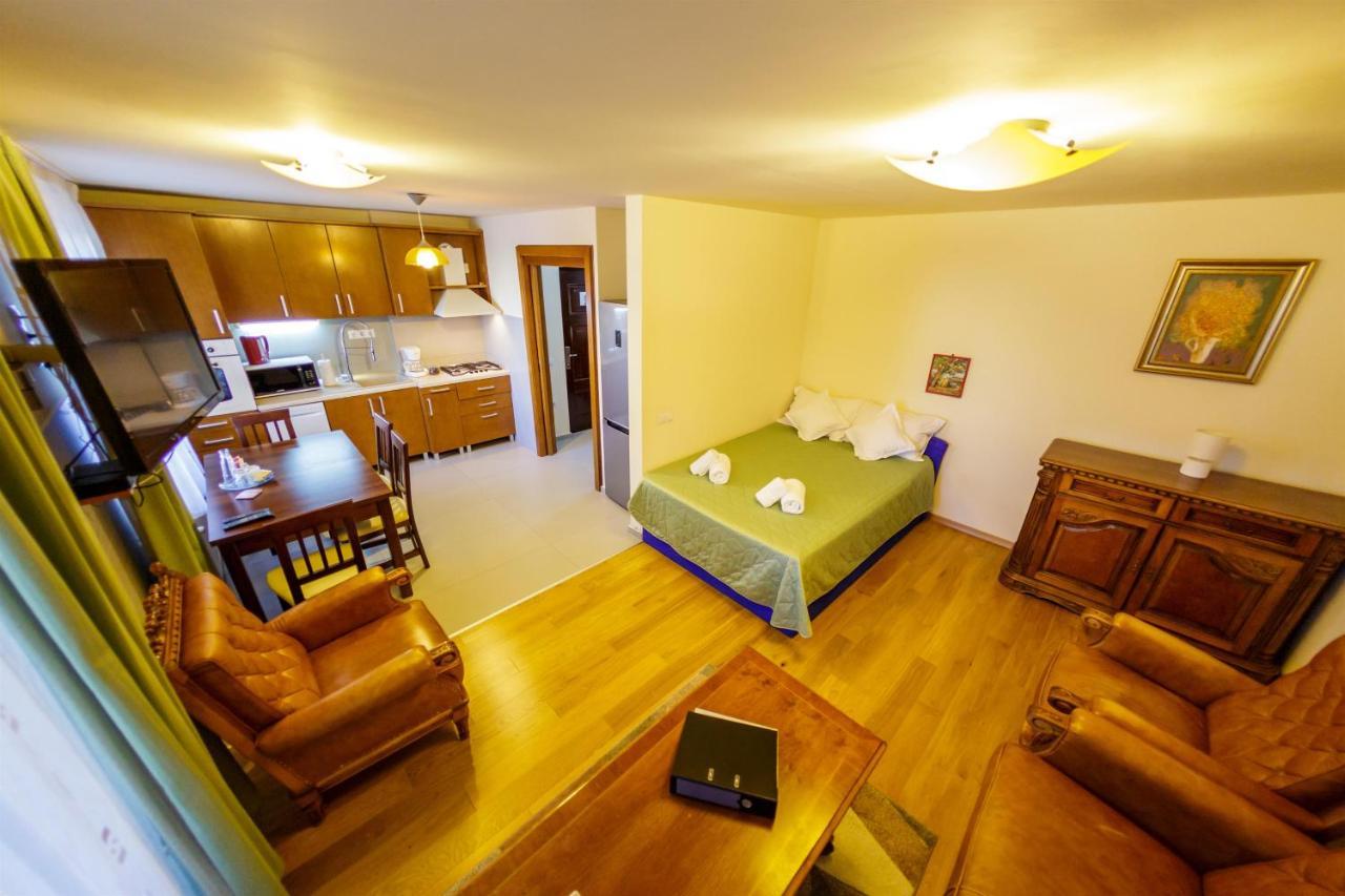 Apartament Family Rivulus 8 Baia Mare Exterior photo